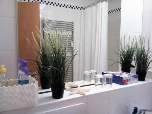 La salle de bains est pourvue de plantes en pot sur un lavabo blanc. dans l'établissement City Apartment Tübingen-Lustnau, à Tübingen