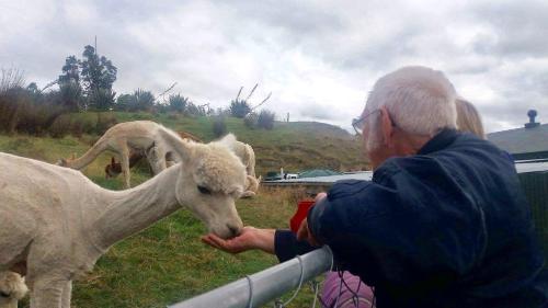 a man is feeding a goat in a field at Hunters Moon in Mosgiel