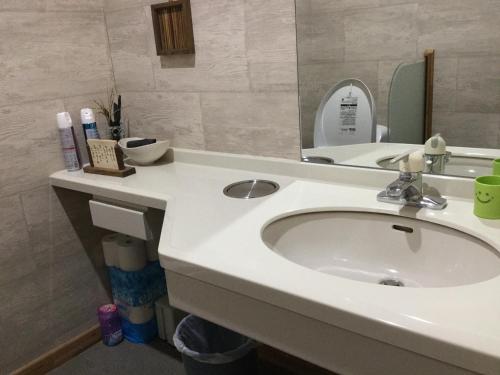 a bathroom with a white sink and a mirror at Minshuku Cress in Biei