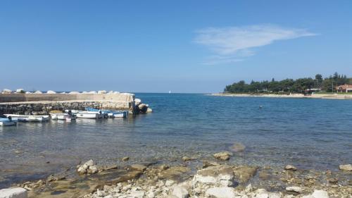 a group of boats docked at a dock in the water at Hotel Zlatna Vala in Umag
