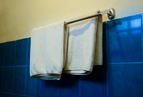 two towels hanging on a towel rack in a bathroom at Little Pond Homestay in Sanur