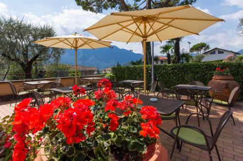 Albergo Villa Edy photo 3