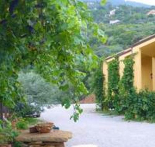 Κήπος έξω από το Villaggio dei Balocchi