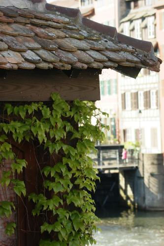 a ivy covered building with a bridge over a river at Quai 17 Maison d'hôtes in Strasbourg