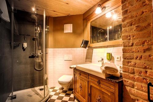 a bathroom with a shower and a sink and a toilet at Bio-Hotel Zur Mühle in Bad Schandau