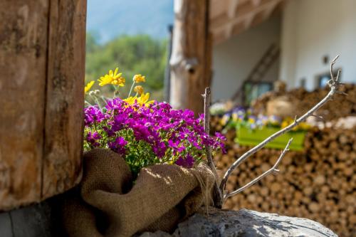 a bunch of flowers sitting on top of a rock at Agritur La Dolce Mela - Adults Only in Vezzano