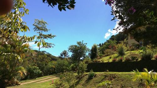 a view of a garden with a house on a hill at Refúgio do Azzi in Monte Verde