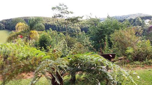 a view of a garden with trees and a lake at Refúgio do Azzi in Monte Verde