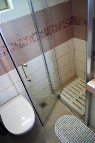 a bathroom with a shower with a toilet and a sink at Sandra's Sea View at Sounio in Sounio