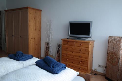 a bedroom with a bed and a tv on a dresser at Wohnung mit traumhaften Weserblick in Bremen