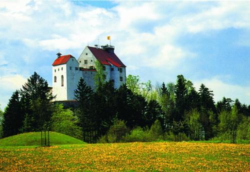 ヴァルトブルクにあるKrone Waldburgの花畑の丘の上の城