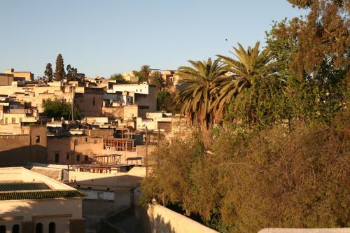 a city with buildings and palm trees on a hill at Riad Batchisarai in Fès
