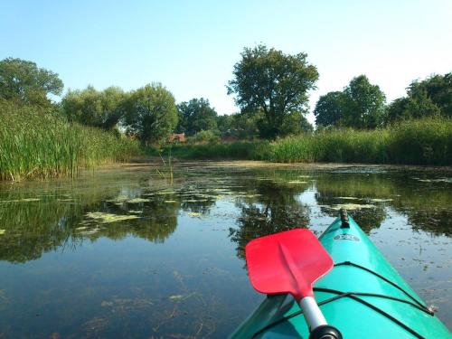 a paddle on a kayak on a river with trees at Avalon Połchowo in Kamień Pomorski