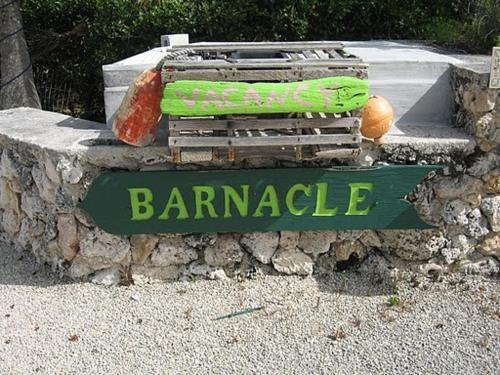 The Barnacle B&B – Photos 5