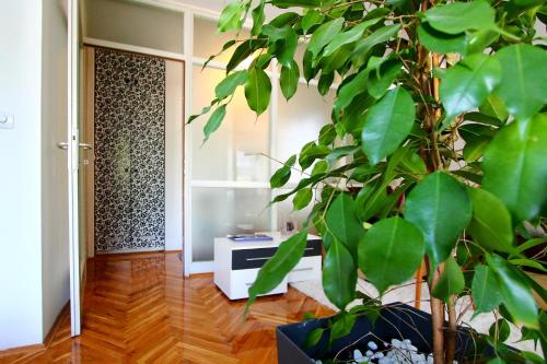 a room with a potted plant in front of a door at Apartment Melon in Zagreb