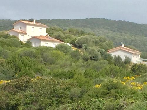 two houses on top of a hill with trees at Les Villas MarInCelu in Porto Pollo