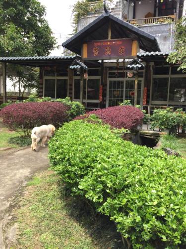 a dog walking down a path in front of a building at Xingping Our Inn in Yangshuo