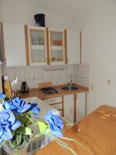 A kitchen or kitchenette at Apartman Husic