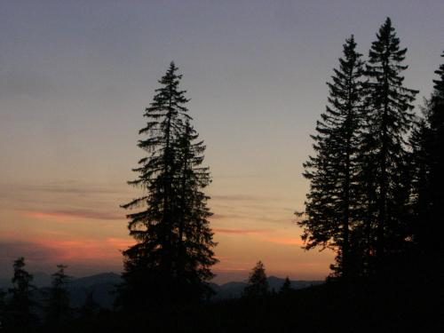 a group of pine trees in front of a sunset at Alpenchalet Gosau in Gosau