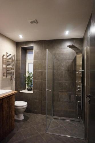 a bathroom with a shower and a toilet at House on Palangas Street in Liepāja