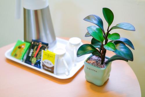 a potted plant sitting on a table next to a plate at Long house in Taichung