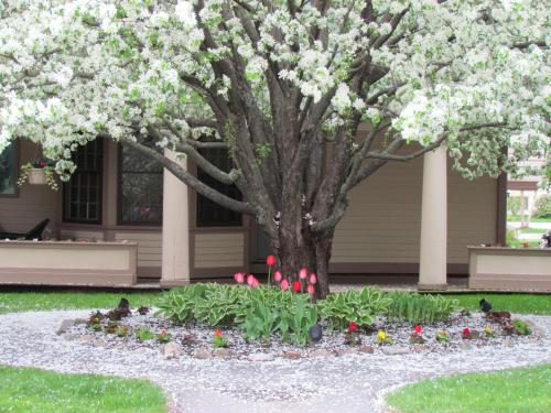 a tree with flowers in front of a house at The Wentworth in Jackson