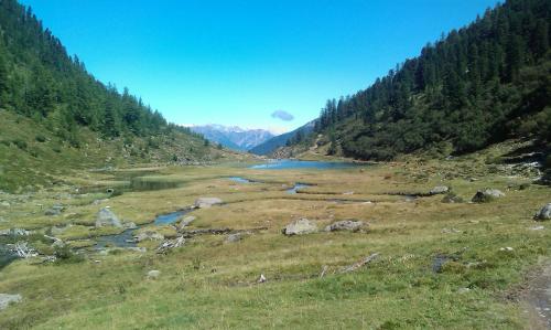 a river in the middle of a field with trees at Apartmenthaus Juen in Zams