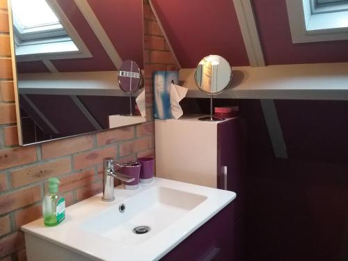 une salle de bain avec un lavabo et un miroir dans l'établissement Gîte de l'Augérois, à Fatouville-Grestain