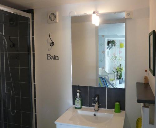 a bathroom with a sink and a mirror and a shower at Clair Matin in Villeneuve-dʼAllier