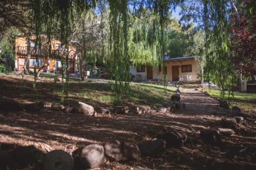 a person sitting under a tree in a park at Carü Leufu in Valle Grande