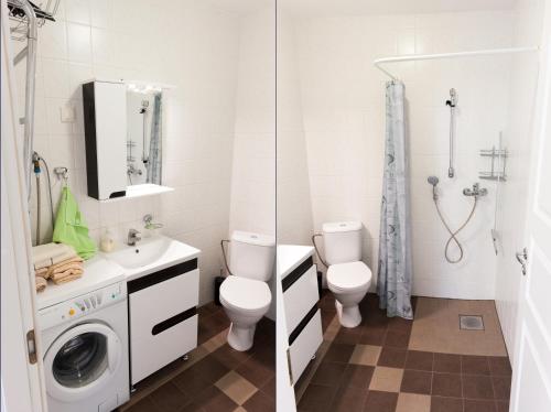 a bathroom with a toilet sink and a washing machine at Rataskaevu Guest Apartment in Tallinn