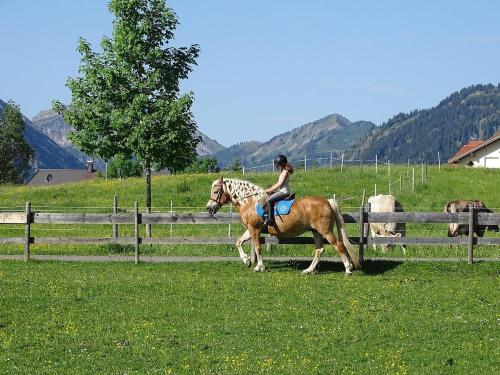 a woman riding on a horse in a field at Haflingerhof - Oberjoch in Bad Hindelang