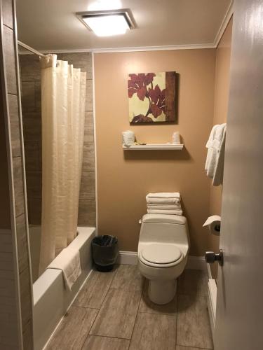 a bathroom with a toilet and a tub and a shower at Moonlite Motel in Niagara Falls