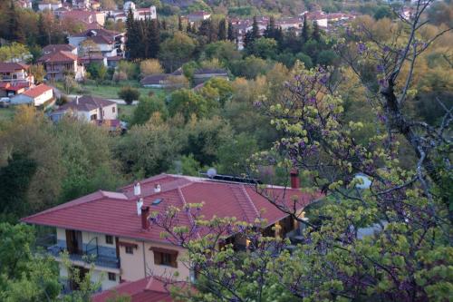 a house with a red roof in a village at Guesthouse Papastathis in Kalabaka