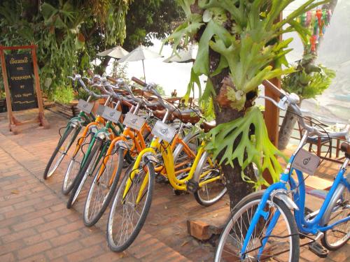 a row of bikes parked next to a tree at Luang Prabang Nagara Villa River View in Luang Prabang