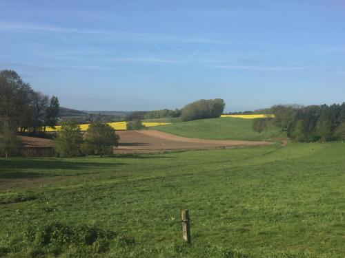 a green field with a fence in the middle at Sakura Lodging in Bossut-Gottechain