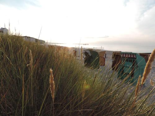 a field of tall grass next to a beach at Hotel-Pension Am Fuchsberg in Bad Doberan