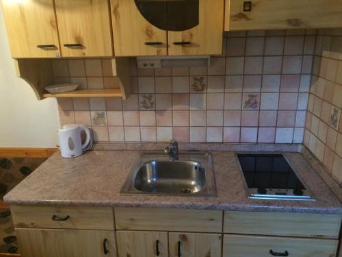 Kuchyň nebo kuchyňský kout v ubytování Apartma Gracner