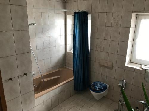 ein Bad mit einer Badewanne, einer Dusche und einem WC in der Unterkunft Haus Johanna in Lechbruck