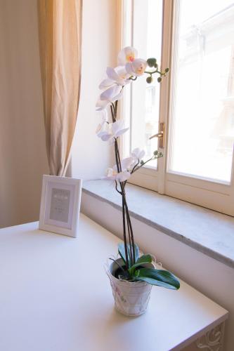 Un ou plusieurs lits dans un hébergement de l'établissement Maison Ortigia