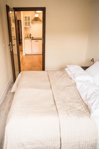 Ένα ή περισσότερα κρεβάτια σε δωμάτιο στο Apartamenty Opal