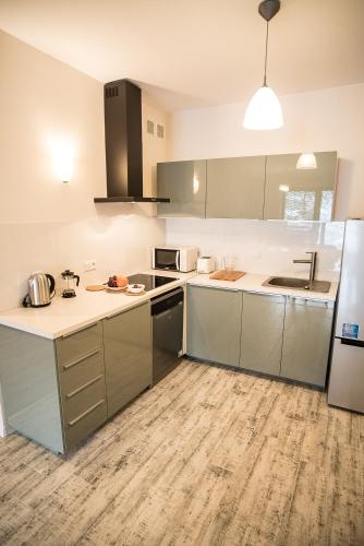 Η κουζίνα ή μικρή κουζίνα στο Apartamenty Opal