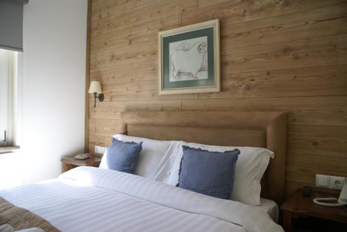 Gamila Rocks Mountain Hotel — Photo of the whole room