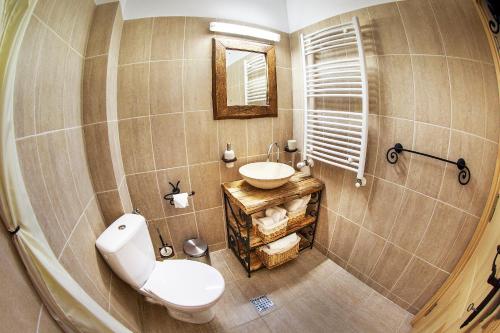 a bathroom with a toilet and a sink at Bio Valeputna in Valea Putnei