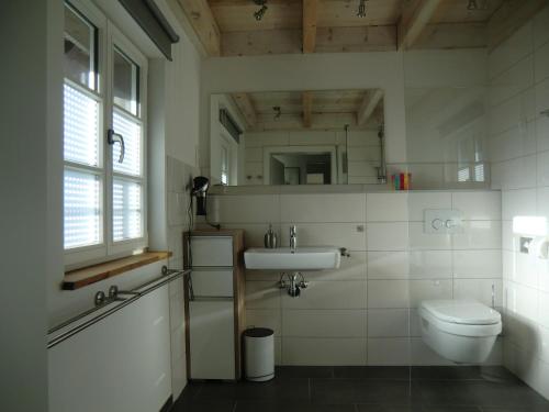La salle de bains est pourvue d'un lavabo et de toilettes. dans l'établissement Ferienwohnung "im Winkelhof", à Roetgen