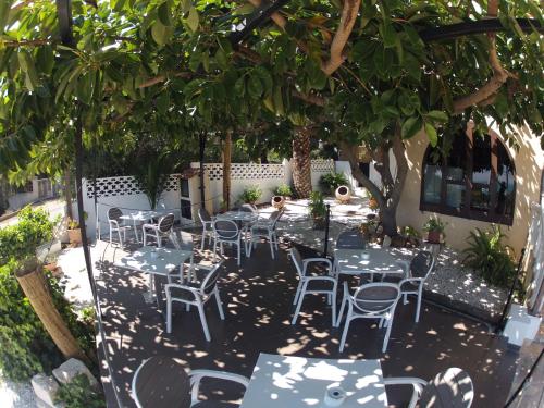 Fotografie z fotogalerie ubytování Hotel Serra D'írta v destinaci Alcossebre