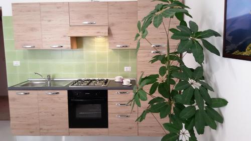 Køkken eller tekøkken på Il Giardino del Nespolo