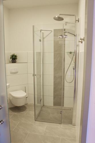 a glass shower in a bathroom with a toilet at Stichwehs Hotel am Bahnhof in Elze