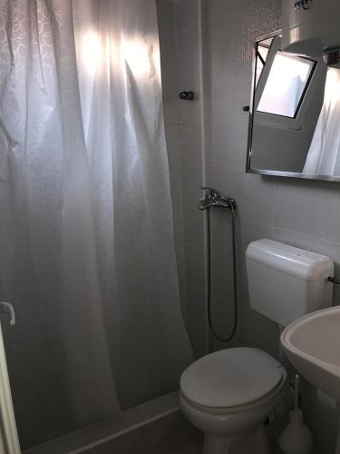a bathroom with a shower with a toilet and a sink at Apartments Mia Patria in Ulcinj