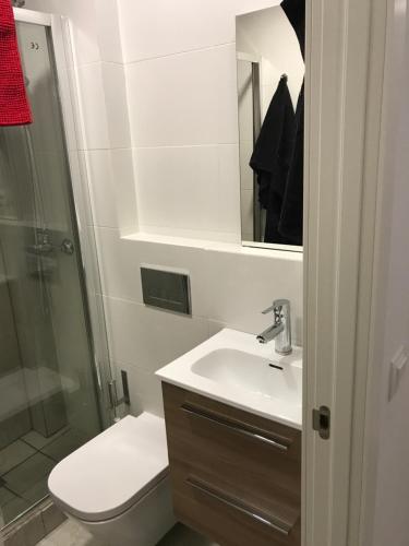 マドリードにあるTeruel 4のバスルーム(トイレ、洗面台、シャワー付)